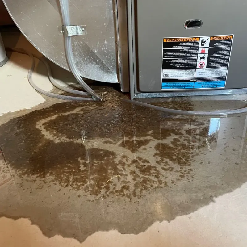 Pipe Burst and Leak Restoration in Marshall County, KS